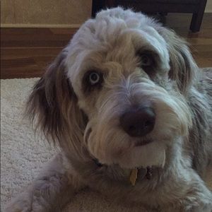 Meet your Posher, Nan